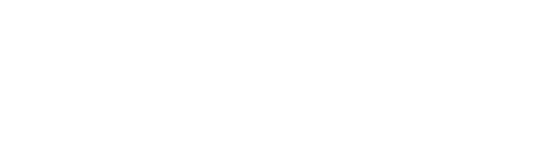 E-coaching